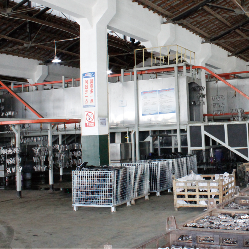 Electrophoretic processing